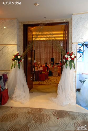 蝶恋缘婚庆礼仪服务dsc